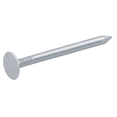 Clous à tête plate en acier galvanisé 3x40 - 2kg
