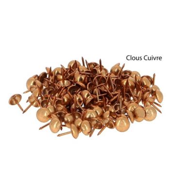 Clous Ronds d'Ameublement Décoratifs - Lot de 1000