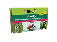 Coccinelles Coccifly Biotop (20 adultes)