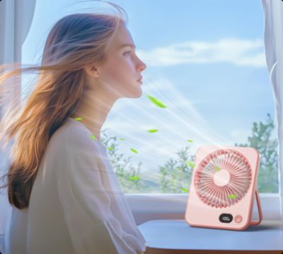CODEKEY 5 Vitesses Ventilateur de Bureau, Mini Ventilateur Portable ...