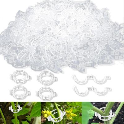 CODEKEY Lot de 250 Pièce Clip en Plastique sécurisé pour Plantes ...
