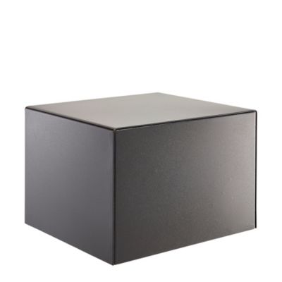 Coffre-fort Burg-Wachter Combi-line CL 420 E