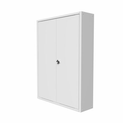 Coffret d'habillage ATOLE en acier avec clé pour tableaux électriques double - H 54 x L 58,5 x P 16 cm - Réf. RCH2T516GSS