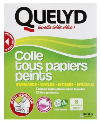 Colle en poudre - adaptée pour tout papiers peints - surface de couverture 32 m² - Quelyd 30601377