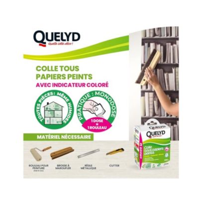 Colle en poudre pour tous papiers peints Quelyd 150g