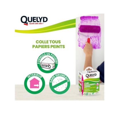 Colle en poudre pour tous papiers peints Quelyd 150g