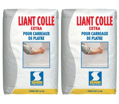 Colle Liant Extra Semin, Carreaux de Plâtre, Intérieur, Poudre, Sac de 25 kg (Lot de 2)
