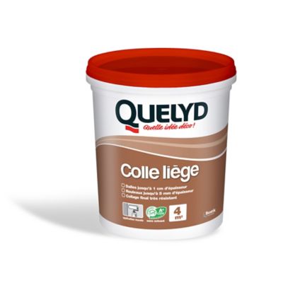 Colle Murale Quelyd pour Liège Pâte 1 kg Castorama