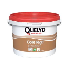 Colle Murale Quelyd pour Liège Pâte 3 kg