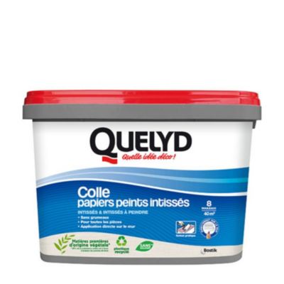 Colle papier peint intissé Quelyd pâte 5kg | Castorama