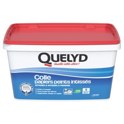 Colle Papier Peint Quelyd Pour Papiers Peints Intisses Pate 3 Kg Castorama