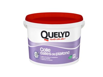 Colle Quelyd Pour Dalles De Plafond Pate 7 Kg Castorama