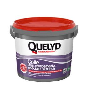 Colle spéciale plafonds - toile de verre et revêtements de rénovation Quelyd pâte 6kg