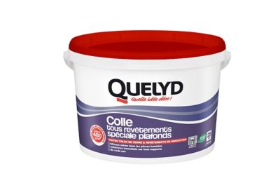 Colle spéciale plafonds - toile de verre et revêtements de rénovation Quelyd pâte 6kg