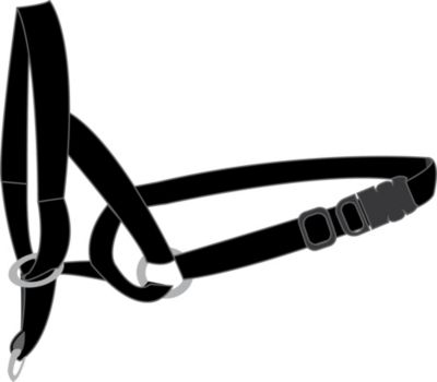 Collier Educatif Easy anti traction
