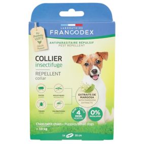 Collier insectifuge chiot