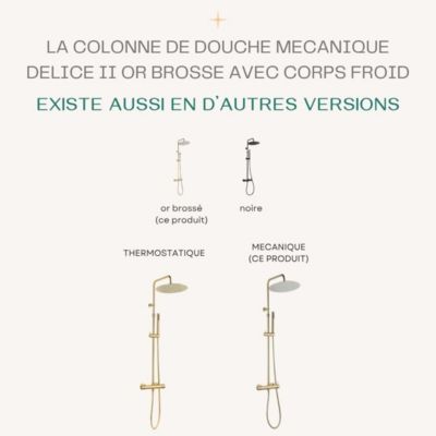 Colonne de douche mécanique or brossé 300 Essebagno Delice II