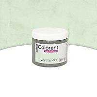 Colorant peinture décorative Smoothie Vert tendre 200g