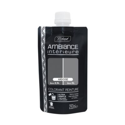 Colorant pour peinture Doypack Ambiance intérieure ardoise 250ml