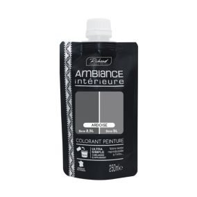 Colorant pour peinture Doypack Ambiance intérieure ardoise 250ml