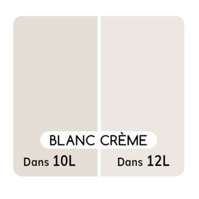 Colorant pour peinture Doypack Ambiance intérieure blanc crème 1L