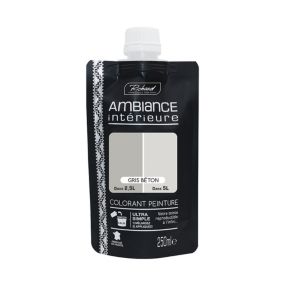 Colorant pour peinture Doypack Ambiance intérieure gris béton 250ml
