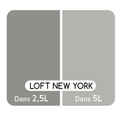 Colorant pour peinture Doypack Ambiance intérieure gris loft new york 250ml