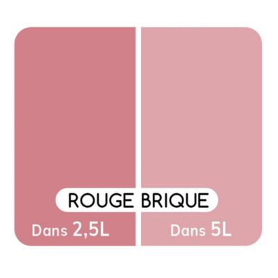 Colorant pour peinture Doypack Ambiance intérieure rouge brique 250ml