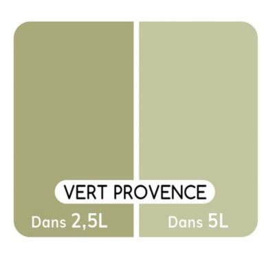 Colorant pour peinture Doypack Ambiance intérieure vert provence 250ml
