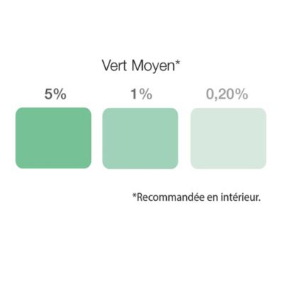 Colorant universel pour peinture vert moyen 250ml