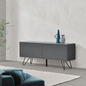 Commode Bollebygd à 2 Portes 47 x 110 x 30 cm Gris Foncé Noir en.casa