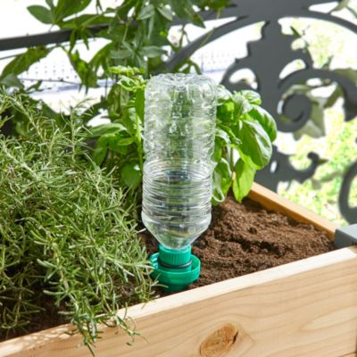 Cône d'arrosage Aquasolo taille M coloris vert débit 20cl/24h 3 + 1 gratuit