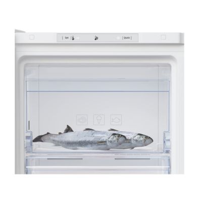 Congélateur armoire 54cm 196l statique Beko RFSM200T41WN