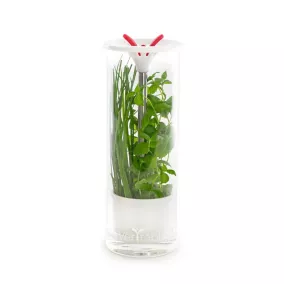 Conservateur à herbes aromatiques Véritable®