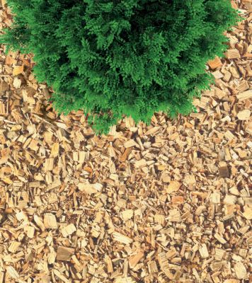 Copeaux de bois tendre naturel Verve 100L