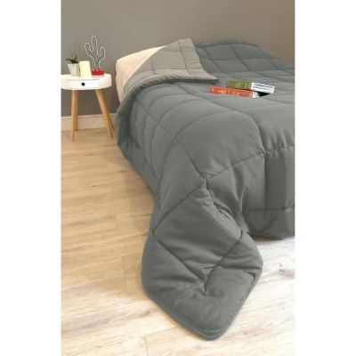 Couette chaude Microfibre Acier & Argent 240 x 260 cm