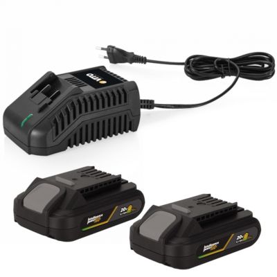 Coupe Bordure sans fil 20V + Taille Haies 20V + 2 Batteries Lithium 2AH EGO LI + Chargeur + Jeu de 20 lames VITO