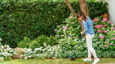 Outil Jardin Bosch 18V Débroussailleuse Sans Fil Bosch EasyGrassCut 18V-260 - Cercle De Coupe 26 Cm - Batterie 18V Incluse Coupe Bordure Batterie