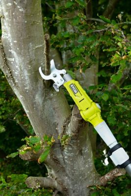 Coupe Branche Ryobi