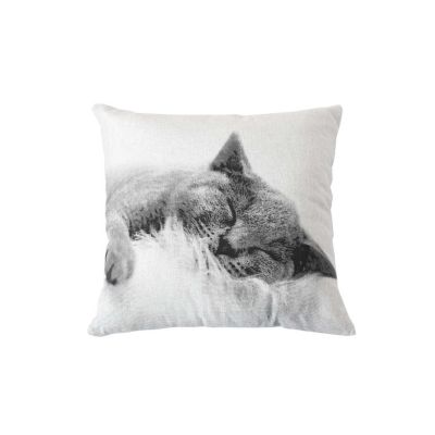 Coussin imprimé chat Blanc, L. 50 x l. 30
