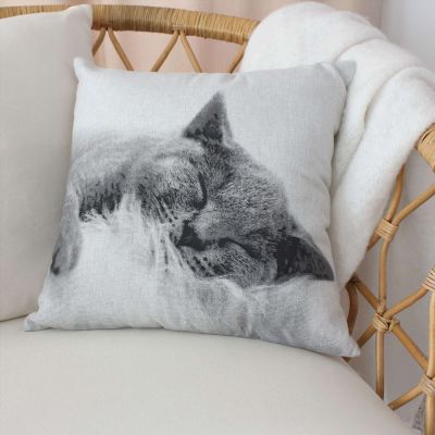 Coussin imprimé chat Blanc, L. 50 x l. 30