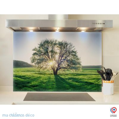 Crédence cuisine fond de hotte Arbre et lumière - Verre trempé - L 90 cm x H 70 cm - MaCrédenceDéco