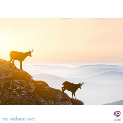 Crédence cuisine fond de hotte Chamois - Verre trempé - L 90 cm x H 60 cm - MaCrédenceDéco