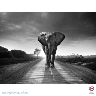 Crédence cuisine fond de hotte champ de vaches - Alu composite - L 60 cm x H 45 cm