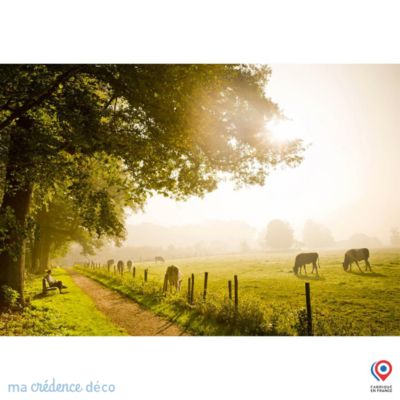 Crédence cuisine fond de hotte champ de vaches lumineux - Verre trempé - L 70 cm x H 60 cm - MaCrédenceDéco