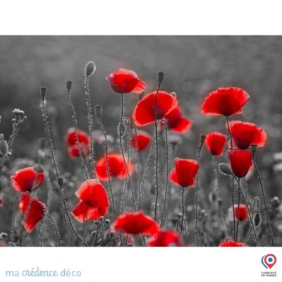 Crédence cuisine fond de hotte Coquelicots sauvages 2 - Verre trempé - L 90 cm x H 60 cm - MaCrédenceDéco