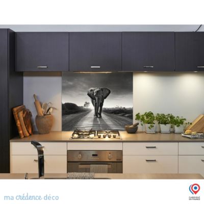 Crédence cuisine fond de hotte Eléphant Noir et blanc - Verre trempé - L 90 cm x H 60 cm - MaCrédenceDéco