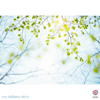 Crédence cuisine fond de hotte feuilles et lumière - Verre trempé - L 90 cm x H 70 cm - MaCrédenceDéco