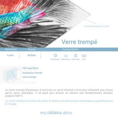 Crédence cuisine fond de hotte Italie Venise - Verre trempé - L 90 cm x H 70 cm - MaCrédenceDéco
