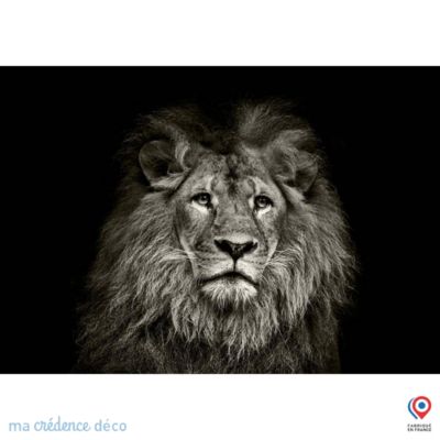 Crédence cuisine fond de hotte Lion - Verre trempé - L 90 cm x H 60 cm - MaCrédenceDéco